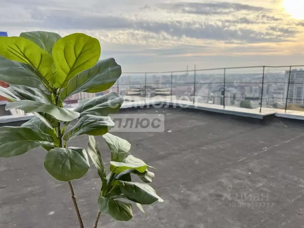 Помещение свободного назначения в Татарстан, Казань ул. Вишневского, ... - Фото 0