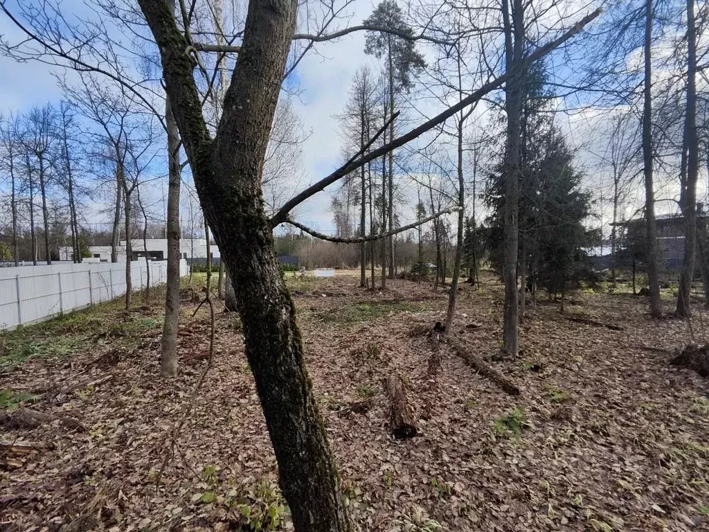 Участок в Московская область, Одинцовский городской округ, д. Сивково, ... - Фото 1