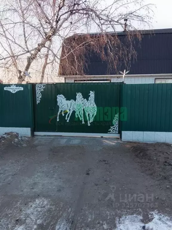 Дом в Забайкальский край, Чита № 159 Береговой ДНТ, 29 (120 м) - Фото 1