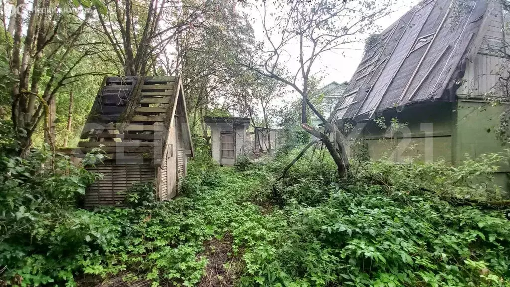 Дом в сельское поселение Кривское, СНТ Кривское, 111 (35 м) - Фото 0