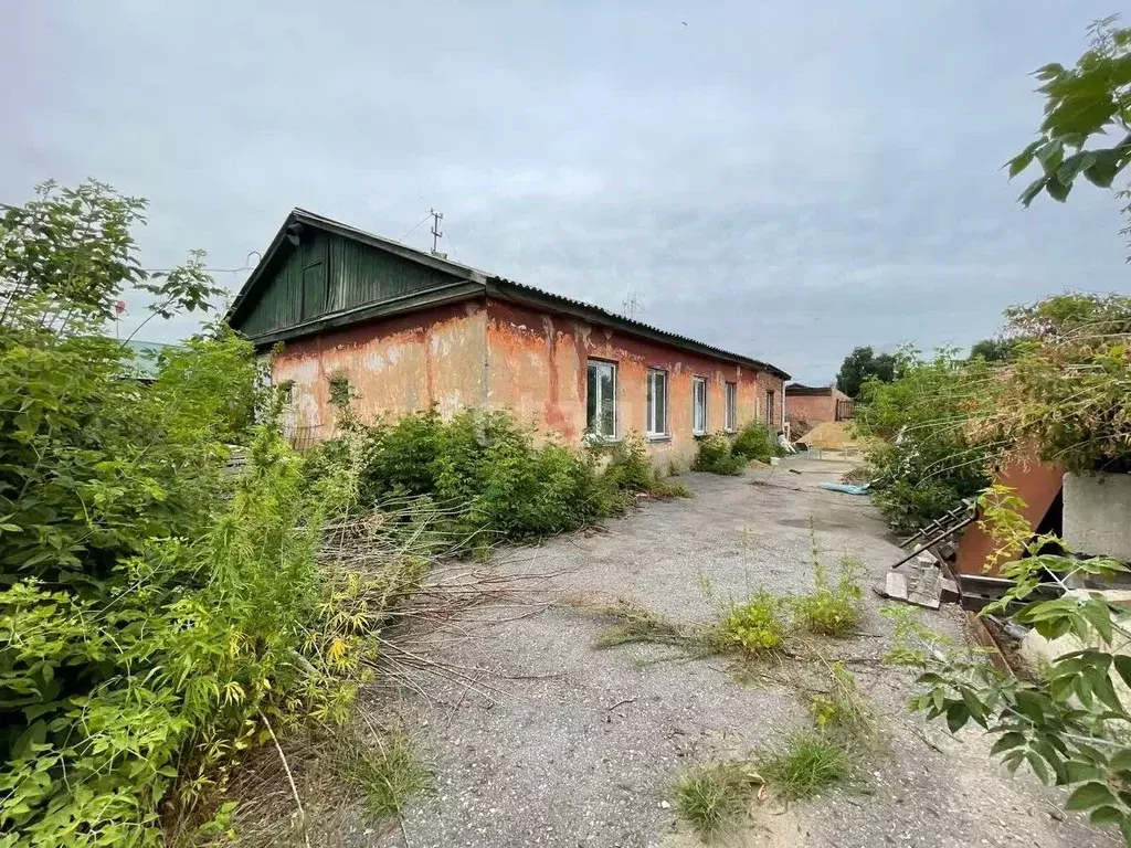 Помещение свободного назначения в Омская область, Омск Днепровская ... - Фото 1