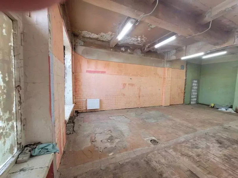 Склад в Санкт-Петербург Промышленная ул., 5 (58 м) - Фото 2