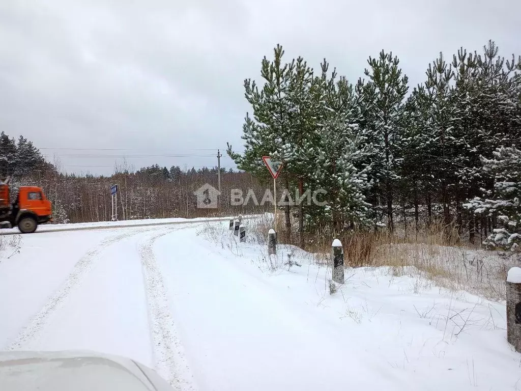 Участок в Владимирская область, Судогодский район, Лавровское ... - Фото 0