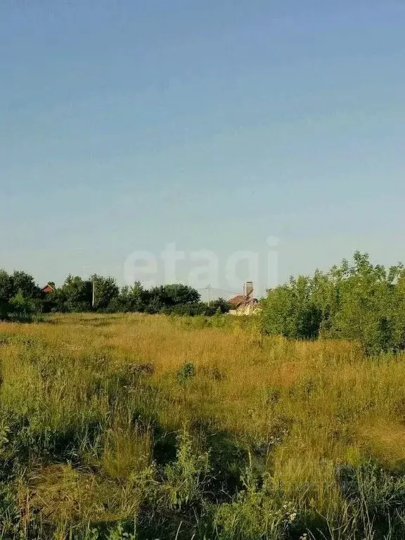 Участок в Белгородская область, Белгородский район, с. Стрелецкое ... - Фото 0