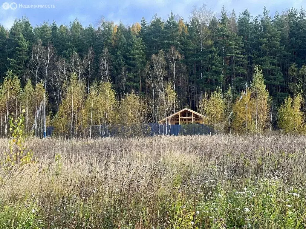 Участок в Московская область, Дмитровский муниципальный округ, КП ... - Фото 2