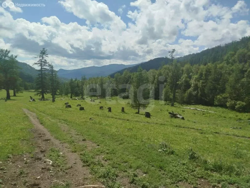 Участок в Онгудайский район, село Ело (873 м) - Фото 2