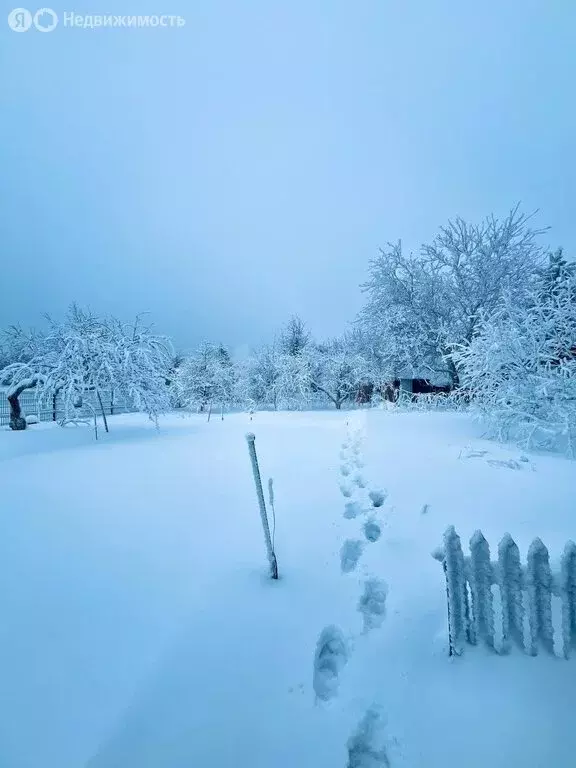 Участок в посёлок Новый Быт, Лесная улица (1902 м) - Фото 1