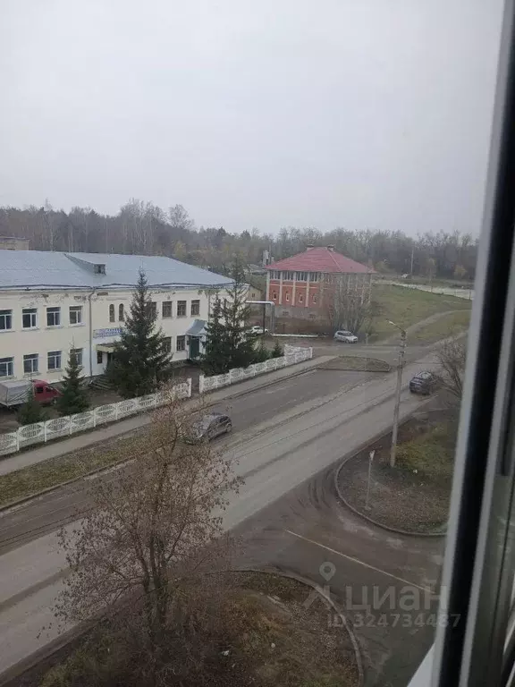 1-к кв. Ивановская область, Кинешма ул. Имени М. Горького, 104 (29.8 ... - Фото 2