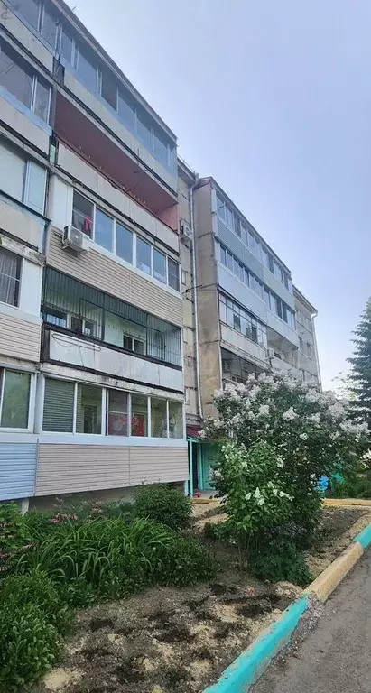 2-к. квартира, 48,2 м, 2/5 эт. - Фото 1