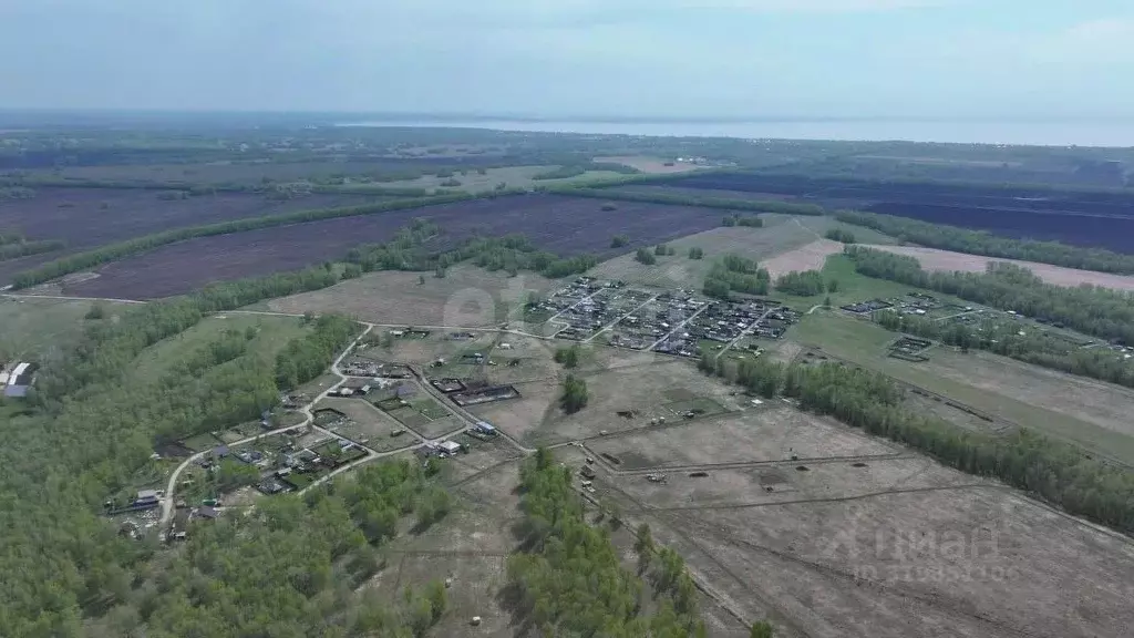Участок в Новосибирская область, Новосибирский район, Морской ... - Фото 0