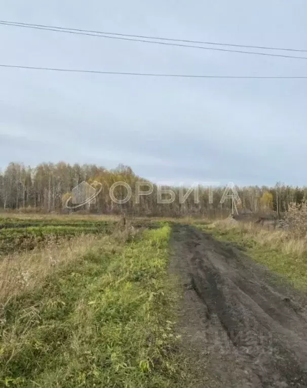 Участок в Свердловская область, Слободо-Туринский район, ... - Фото 0