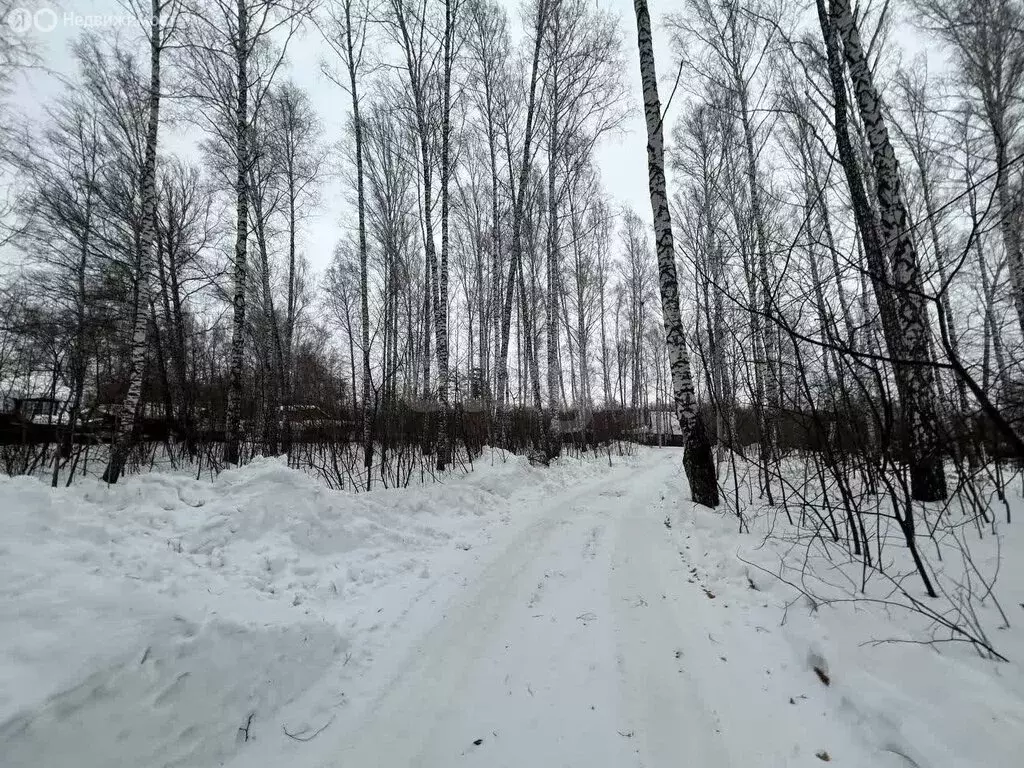 Участок в Новосибирск, СНТ Черёмушки (4 м) - Фото 1