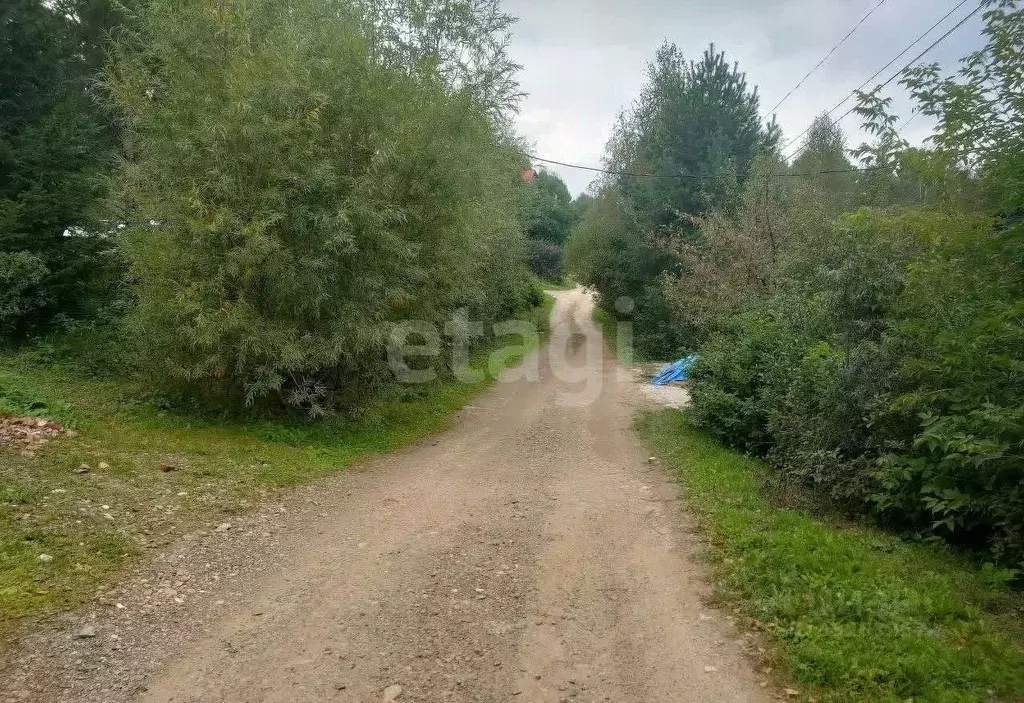 Дом в Иркутская область, Иркутск Лесной мкр, Верхняя ул. (345 м) - Фото 2