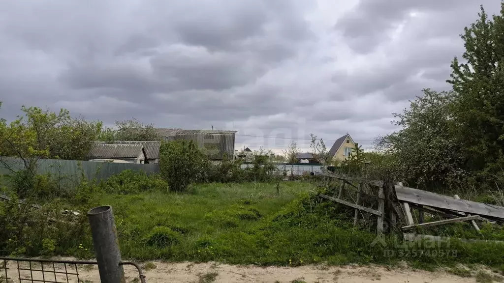 Участок в Брянская область, Брянский район, Нетьинское с/пос, пос. ... - Фото 2