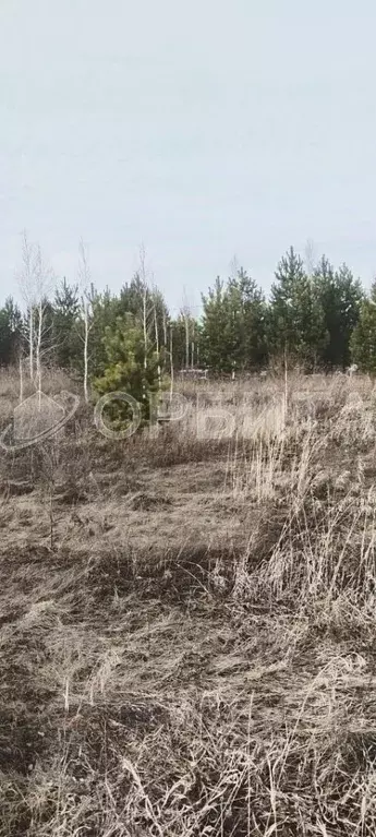 Участок в Тюменская область, Тюмень Ирбитский Тракт 3-й км от ... - Фото 2