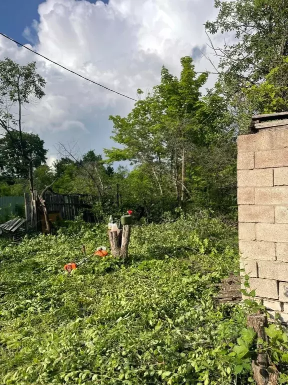 Участок в Самарская область, Самара Нижние Дойки СНТ, 17-я линия (6.0 ... - Фото 1