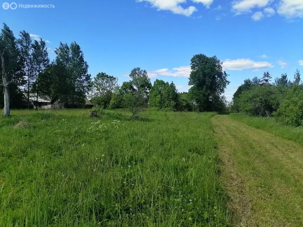 Участок в Псковский район, Тямшанская волость, деревня Лакомцево (30 ... - Фото 2