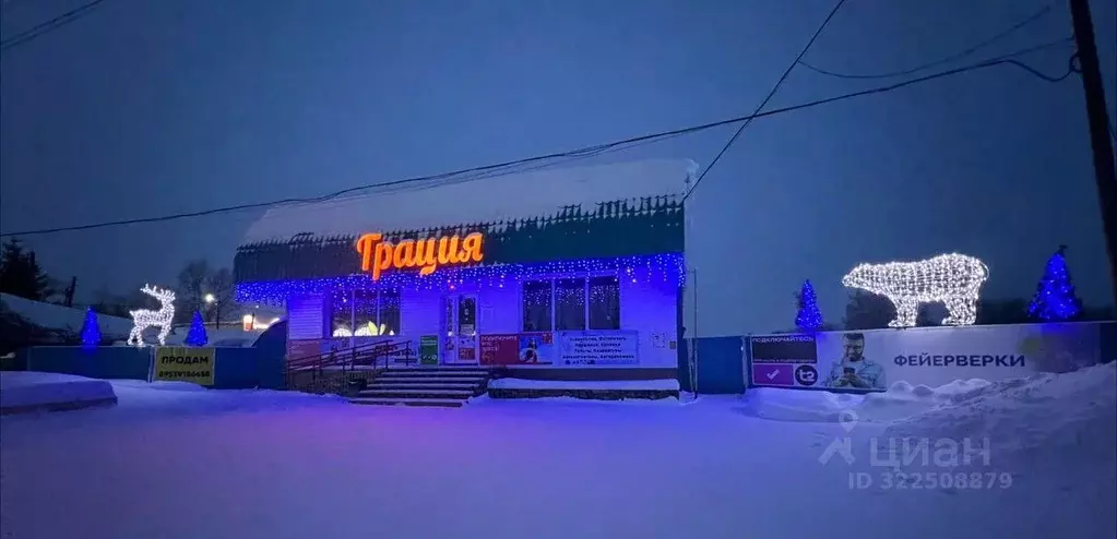 Помещение свободного назначения в Томская область, с. Кожевниково ул. ... - Фото 1