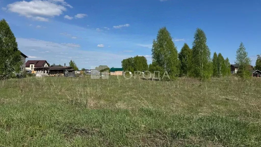 Участок в Новосибирская область, Новосибирский район, Морской ... - Фото 0