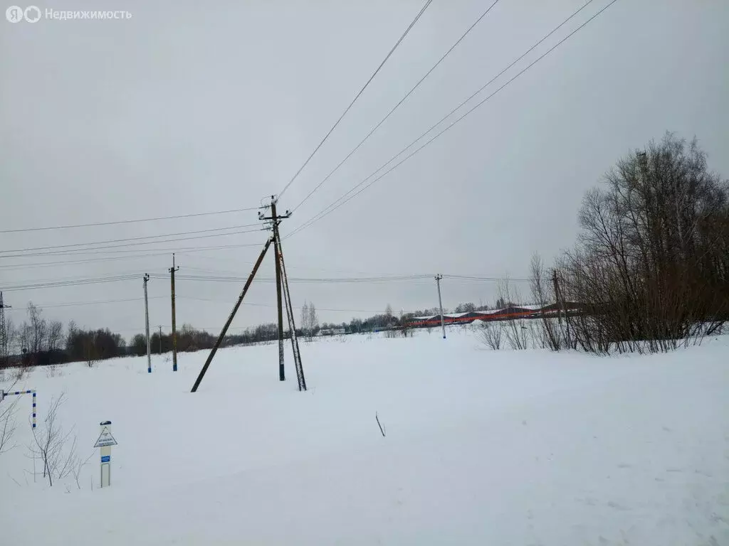 Участок в Московская область, Раменский муниципальный округ, деревня ... - Фото 1