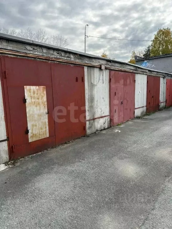 Гараж в Тюменская область, Тюмень Новгородская ул., 27 (24 м) - Фото 1