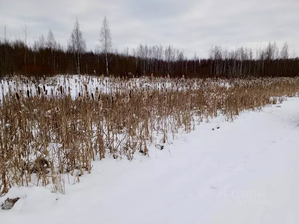 Участок в Ярославская область, Рыбинск Заволжский п/р, ул. ... - Фото 0