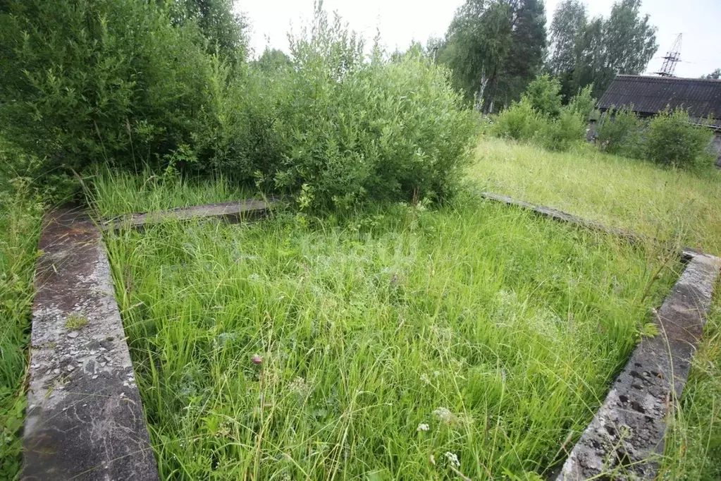 Участок в Вологодская область, Череповецкий район, пос. Суда ул. ... - Фото 0