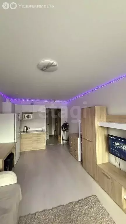 Квартира-студия: Киров, Первомайский район, Заводская улица, 16 (23.4 ... - Фото 1