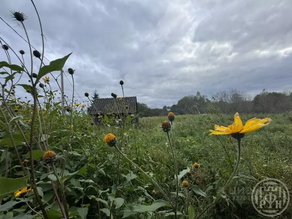 Участок в Ленинградская область, Лужский район, д. Ретюнь  (18.0 сот.) - Фото 1