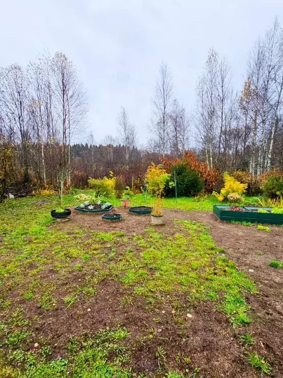 Участок в Ленинградская область, Выборгский район, Рощинское городское ... - Фото 2