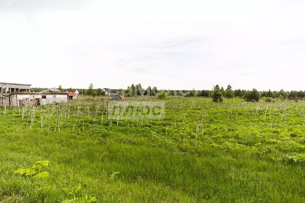 Участок в Пермский край, Пермский муниципальный округ, пос. Красный ... - Фото 2