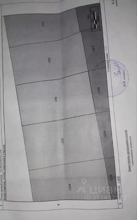 Участок в Новгородская область, Чудово ул. Рябиновая, 7 (16.4 сот.) - Фото 1