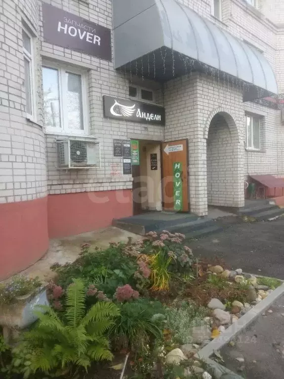 Помещение свободного назначения в Вологодская область, Вологда ул. ... - Фото 1