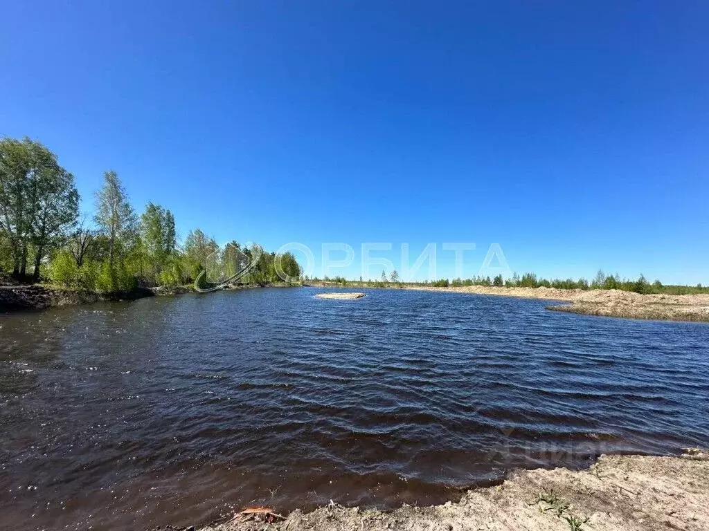 Участок в Тюменская область, Тюменский муниципальный округ Салаирский ... - Фото 1