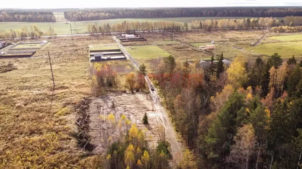 Участок в Московская область, Богородский городской округ, д. Черново ... - Фото 2