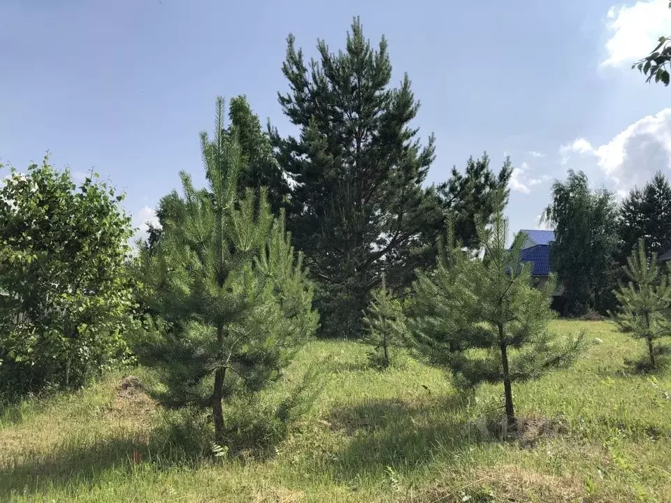 Участок в Тюменская область, Тюменский муниципальный округ, с. Каменка ... - Фото 2