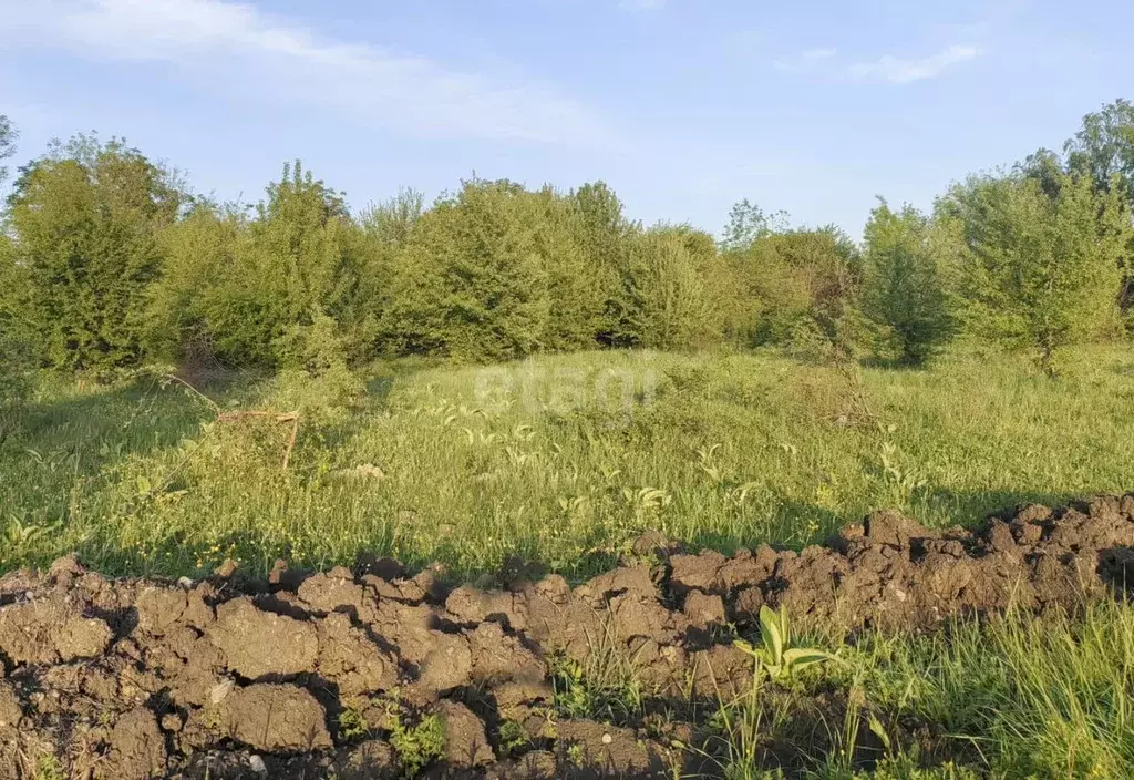 Участок в Адыгея, Майкоп городской округ, пос. Северный ул. Новая ... - Фото 1