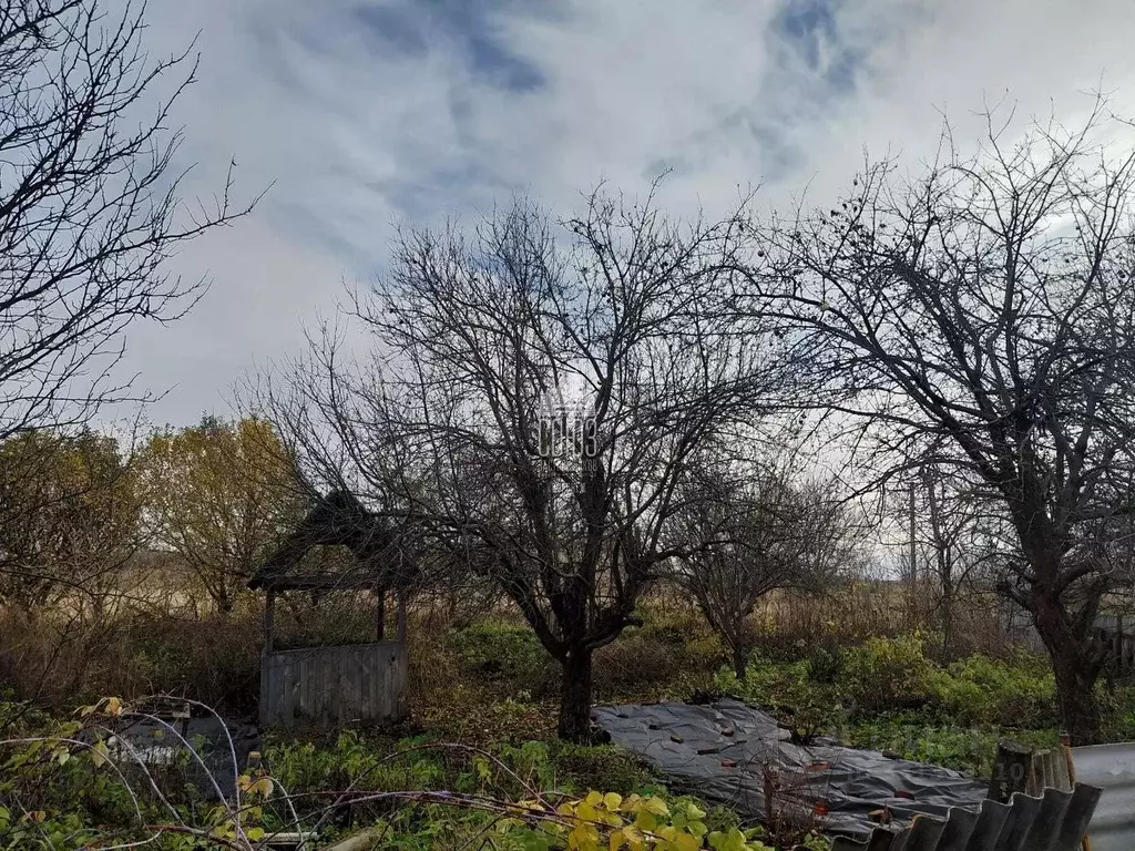 Участок в Воронежская область, Рамонский район, с. Ломово Молодежная ... - Фото 2