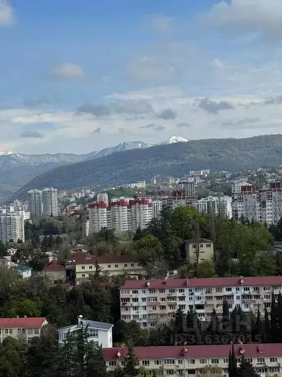 1-к кв. Краснодарский край, Сочи Центральный мкр, пер. Горького, 18 ... - Фото 1