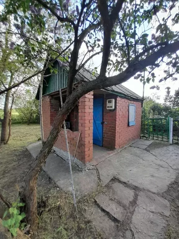 Дом в Ростовская область, Октябрьский район, Кривянское с/пос, ДП ... - Фото 1