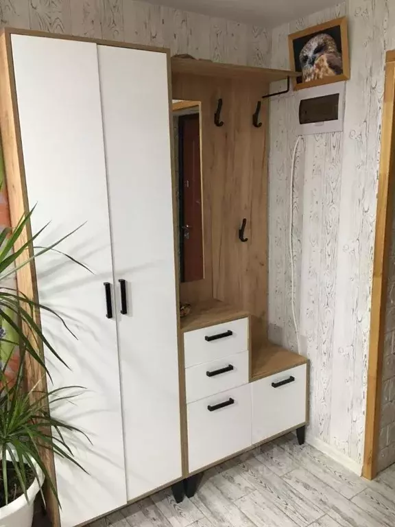 Дом в Краснодарский край, Геленджик городской округ, Строитель СТ ул. ... - Фото 2