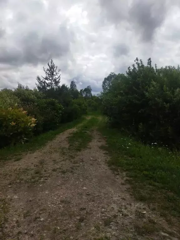 Вичелово Череповецкий Район Купить Дачу