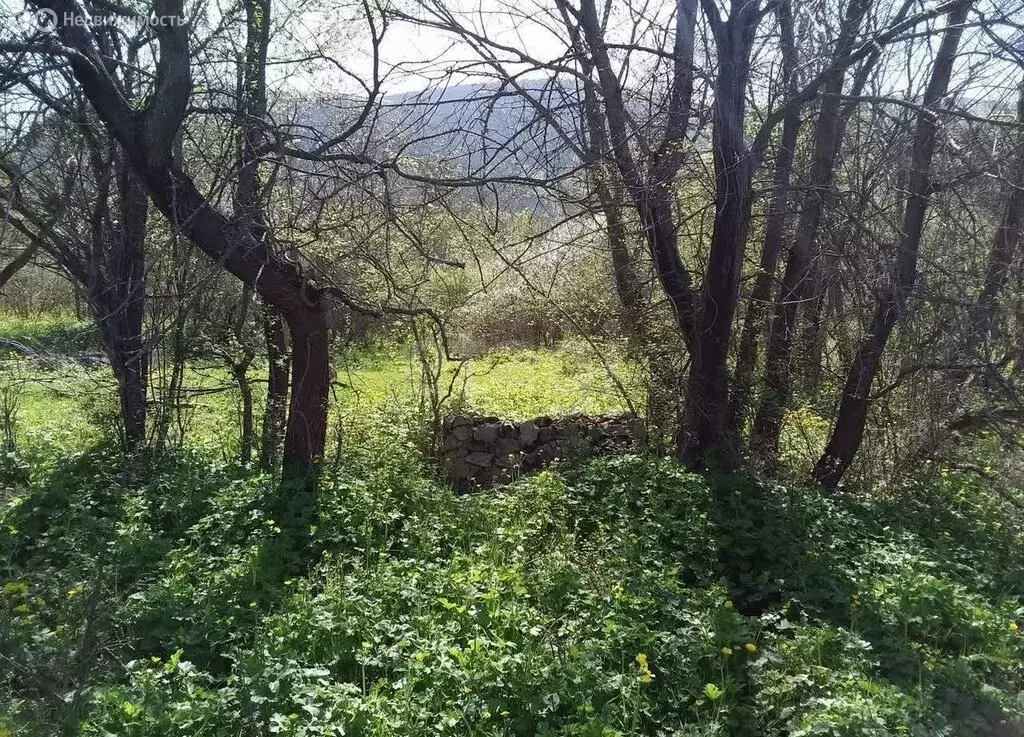 Участок в Орлиновский муниципальный округ, село Колхозное, Горная ... - Фото 2