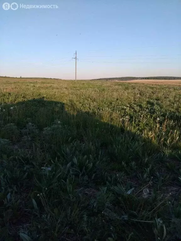 Участок в Челябинская область, Чебаркульский муниципальный округ, село ... - Фото 2