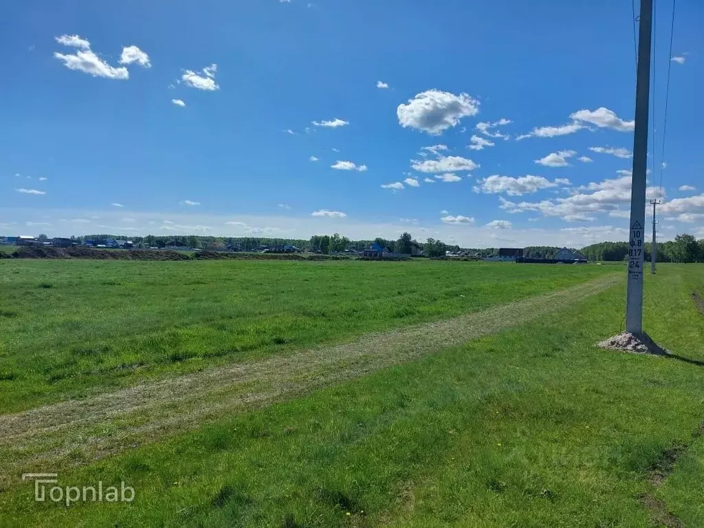 Участок в Челябинская область, Аргаяшский муниципальный округ, ... - Фото 2