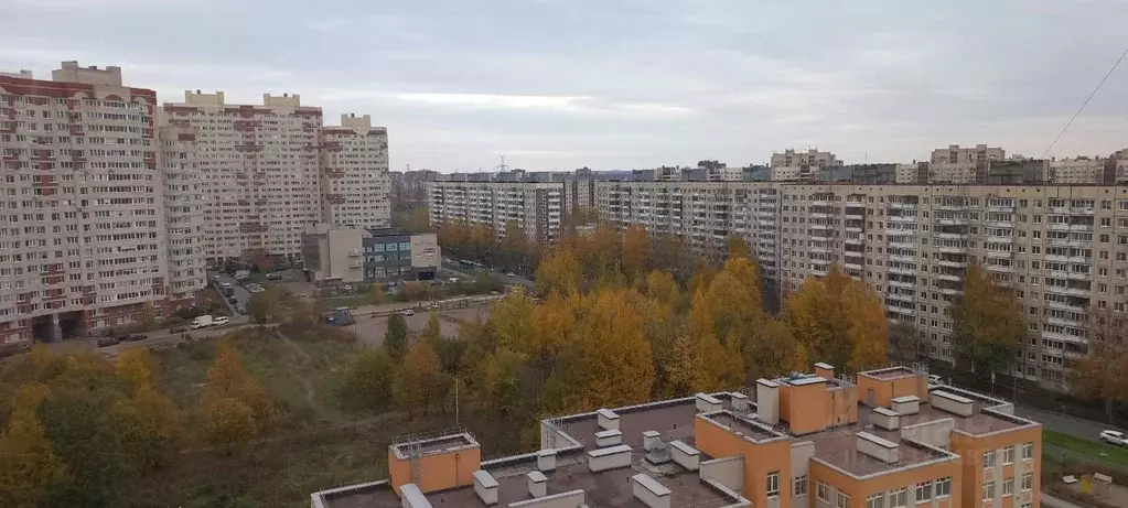 1-к кв. Санкт-Петербург ул. Латышских Стрелков, 15к2 (41.7 м) - Фото 1