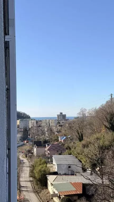 Студия Краснодарский край, Сочи ул. Искры, 88к3 (29.0 м) - Фото 2