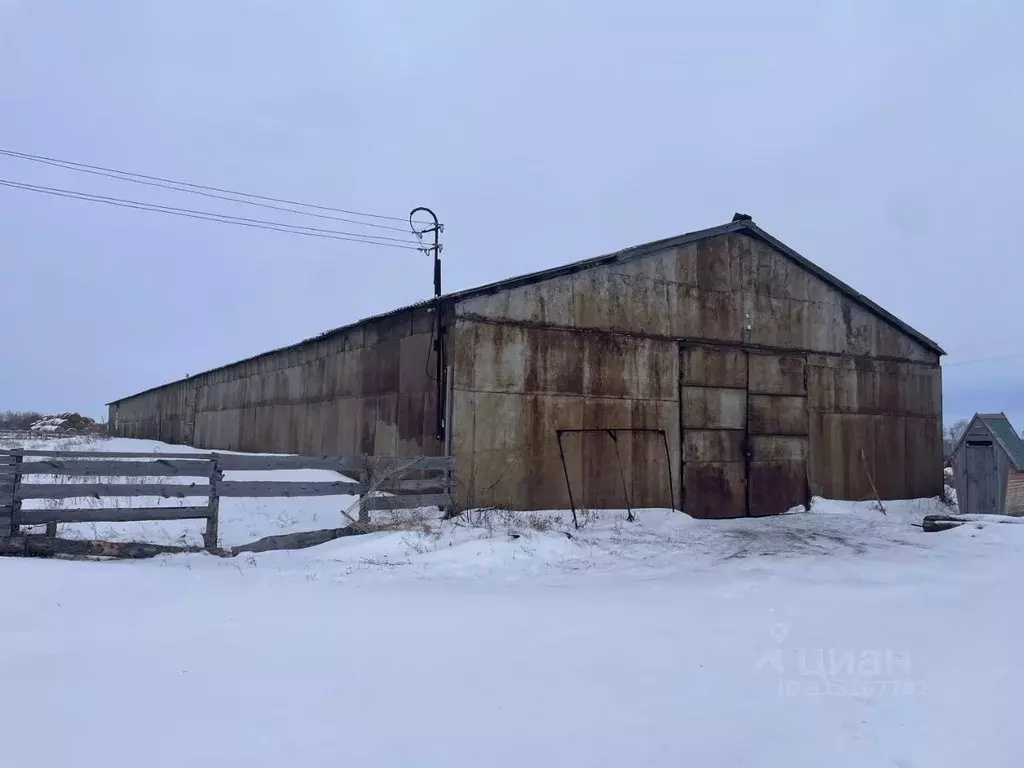 Склад в Новосибирская область, Ордынский район, д. Березовка  (1230 м) - Фото 1