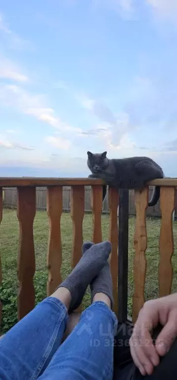 Дом в Красноярский край, Емельяново пгт ул. 2-я Полярная, 35 (117 м) - Фото 2