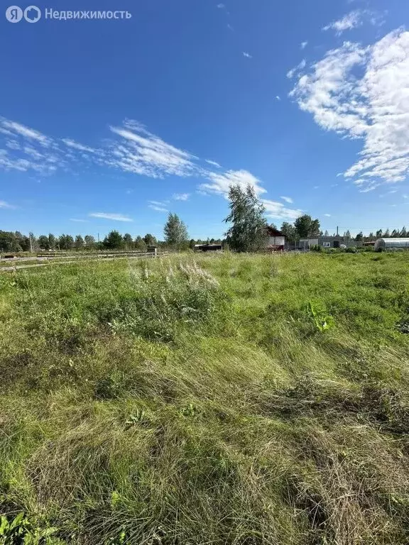 Участок в Верх-Тула, Вишнёвая улица (8 м) - Фото 0